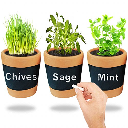 3 Terracotta Pots Chalk Black Board Planting Seed Mint Sage Plant Pot Herbs Write On