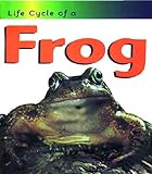 Life Cycle of a Frog