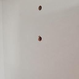 Habitdesign 007142O - Armario Multiusos escobero de 2 Puertas ...