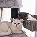 FEANDREA Cat Tree, Large Cat Tower with Fluffy Plush Perch, Cat Condo with Basket Lounger and Cuddle Cave, Extra Thick Posts Completely Wrapped in Black Sisal Light Grey UPCT02W