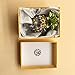 Waltz&F Pineapple Hinged Trinket Box for Gifts Hand-Painted Patterns Trinket Bejeweled Box Collectible