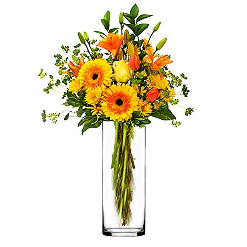 Amazon Com Cys Excel Glass Cylinder Vase Floating Candle Holder