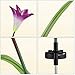 Digiroot Waterproof Outdoor Solar Garden Stake lights,2 Packs Solar Powered Garden Lights with 8 Lily Flower ,Multi-Color Changing LED Solar Stake Lights for Garden,Patio,Backyard Decor