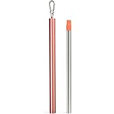 Sursip Water Filter Straw Reusable Stainless Steel Portable Outdoor Emergency Survival Gear for Camping & Hiking Travel Personal Water Purifier Filter Straw(1 Pack)