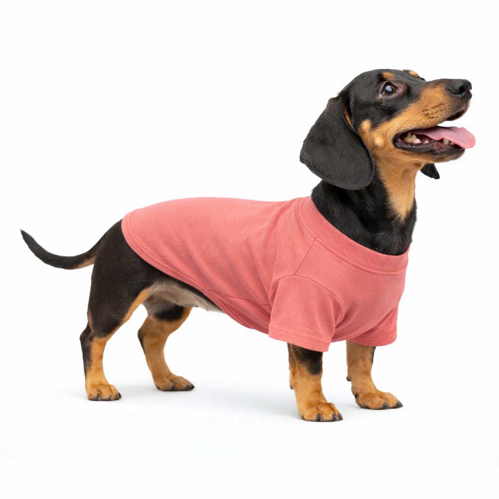 Lovelonglong Pet Clothing Dog Costumes Dachshund Clothes Blank T-Shirt Tee Shirts for Dachshund Dogs,Corgi 100% Cotton Lotuspink D-L