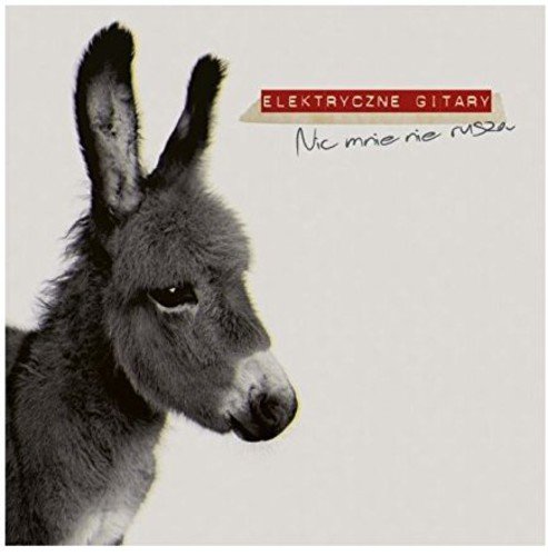 Elektryczne Gitary - Gorzej Lyrics - Zortam Music