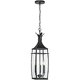Savoy House 5-763-BK Montpelier Modern Farmhouse Clear Seeded Glass Outdoor Hanging Lantern, 3-Light 120 Total Watts, 25" H x