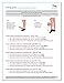 Jomi Compression Knee High Collection, 20-30mmHg Sheer Closed Toe 232 (Medium, Natural)