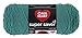 Red Heart 385953 Super Saver Yarn, Jade