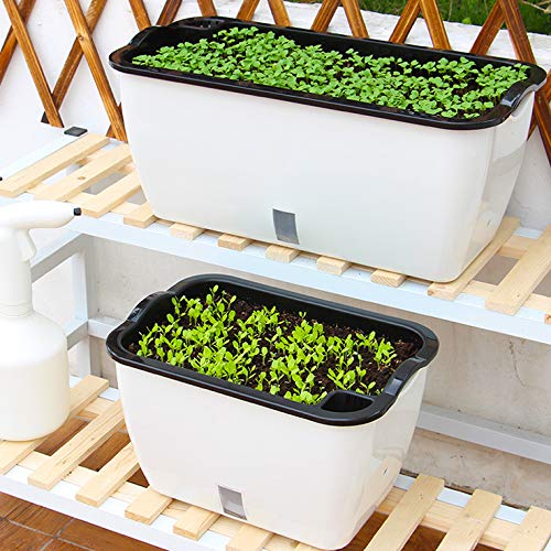 DeEFL 2 Packs ExtraLarge Self Watering Planters for Vegetables Indoor
