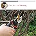 Greensen Garden Pruning Shears, Bypass Pruning Shears, Professional Hand Pruners, Tree Branches Clippersthumb 1