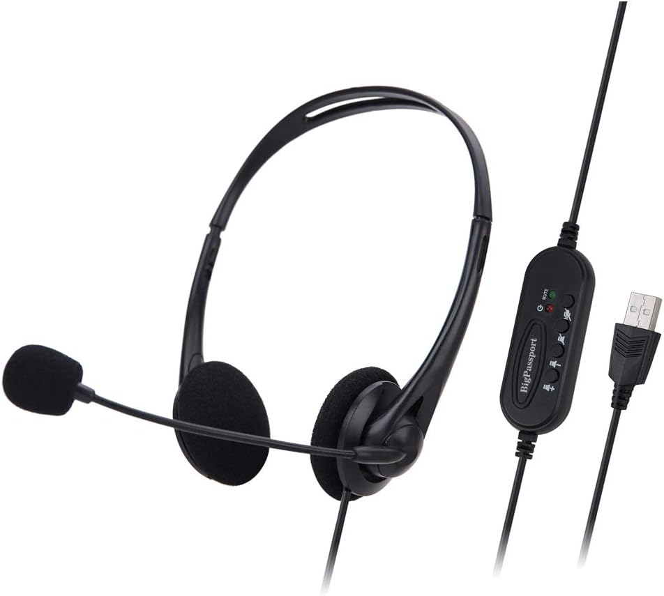 BigPassport USB Headphone Headset with Mic & Inbuilt Amazon.in Electronics