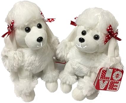 red and white poodle