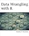 Data Wrangling with R