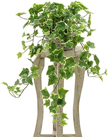 消臭 脱臭 空気清浄 抗菌 花粉除去 フェイクグリーン 観葉植物 人工 オフィス シンプル 寝室 プレミアム人工観葉植物 造花 インテリア オランダ アイビー 白樺風バスケット No Ss Bloggingvlog Com