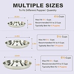 Podinor Stainless Steel Puppy Dog Bowls, Pets