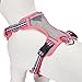 Blueberry Pet 9 Colors Soft & Comfy 3M Reflective Multi-Colored Stripe Mesh Padded No Pull Dog Harness Vest with Back Leash Clips, Large, Pink, Emerald & Orchid