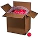 Franklin Sports X-40 Performance Outdoor Pickleballs - USAPA Approved - Official Ball of US Open Pickleball Championships