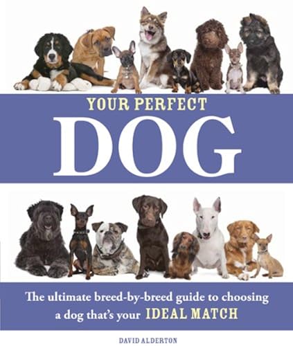 Your Perfect Dog in Kuwait Whizz Dogs