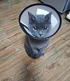 Recovery Pet Cone E-Collar for Cats Puppy