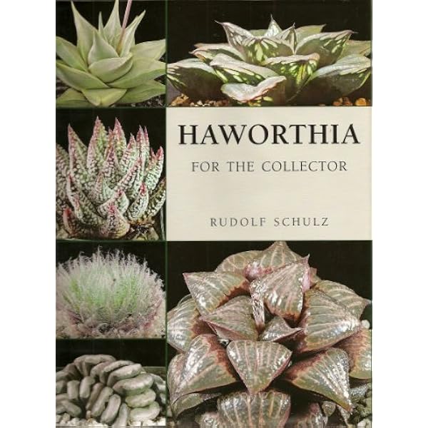 Haworthia Revisited ハオルチア 洋書 Haworthia revisited: A revision of the genus: Bruce Bayer