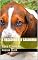 Livro A vassoura e o Cachorro: Para Crianças