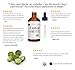 Castor Oil (2oz) USDA Certified Organic, 100% Pure, Cold Pressed, Hexane Free by Kate Blanc. Stimulate Growth for Eyelashes, Eyebrows, Hair. Lash Growth Serum. Brow Treatment. FREE Mascara Starter Kitthumb 3