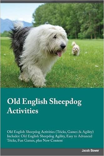old english sheepdog agility