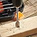 Screwdriving Bit Set, Screwdriver Power Bits Set, Drill Bits Set, Spade Drill Bits for Wood, Twist Drill Bit Set with Titanium Coated for Drilling Metal, Tile, Concrete, Brick, Glass, Plastic and Wood
