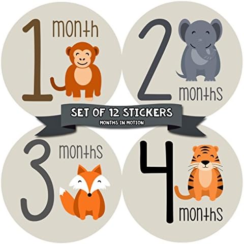 Monthly Baby Stickers by Months In Motion | 12 Month Milestone Sticker for Newborn Babies Animals (Style 1163)