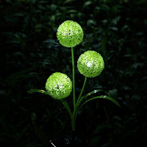 XLUX Outdoor Decorative Solar dandelion LED Lights, Green