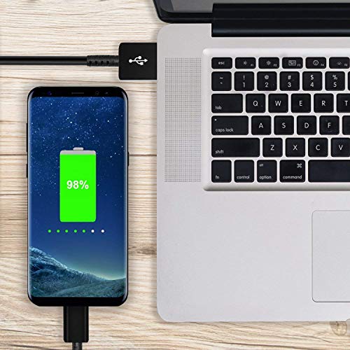 image for CovertSafe Adaptive Fast Wall Charger Adapter with USB Type C to A Cab