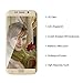 Samsung Galaxy S6 Edge+ Plus Tempered Glass Screen Film Protector: Valuebuybuy 9H 0.2mm Thinest Full Cover Curved Edge to Edge Protection Armor Guard Shatterproof - S6 Edge Plus Gold