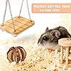 Labeol-Hamster-Chew-Toys-Accessories-Pet-Natural-Wooden-11-Pcs-Gerbil-Rat-Guinea-Pig-Chinchilla-Gerbils-Dumbbells-Accessories-Exercise-Bell-Roller-Teeth-Care-Molar-Toy-for-Parrot-Syrian-Hamster Labeol Hamster Chew Toys Small Animal Boredom Breakers Cage Accessories Pet 11 Pcs Natural Wooden Toys Hamster Ball…