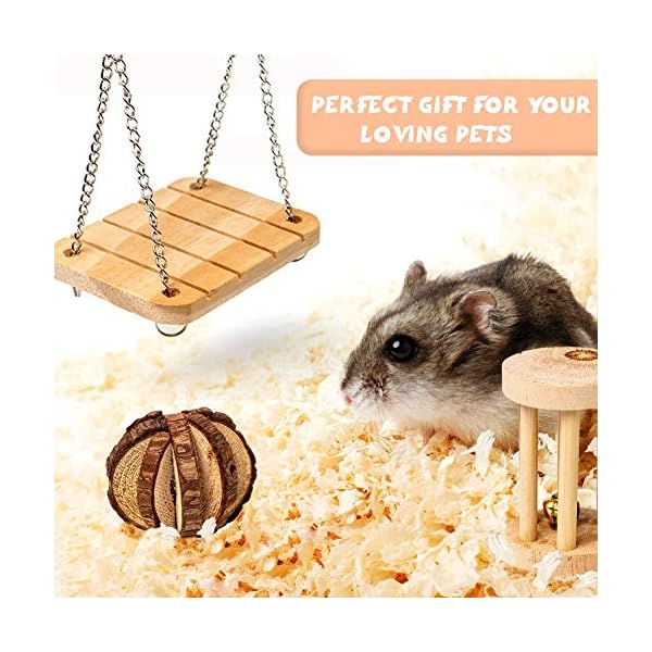 Labeol-Hamster-Chew-Toys-Accessories-Pet-Natural-Wooden-11-Pcs-Gerbil-Rat-Guinea-Pig-Chinchilla-Gerbils-Dumbbells-Accessories-Exercise-Bell-Roller-Teeth-Care-Molar-Toy-for-Parrot-Syrian-Hamster Labeol Hamster Chew Toys Small Animal Boredom Breakers Cage Accessories Pet 11 Pcs Natural Wooden Toys Hamster Ball…