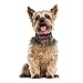 Our K9 Training Made Easy - Bark Collar ​for ​Small Dogs - ​Adjustable Shock & Vibration, ​Pain Free ​Bark Control