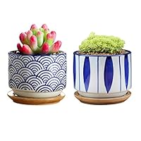 GeLive Japanese Ceramic Succulent Planter, Cactus Plant Pot, Flower Container with Bamboo Drip Tray, Set of 2 (Wave and Blue Flower)