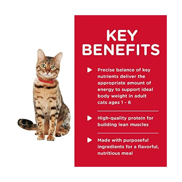 Hill's Science Diet Wet Cat Food, Adult, Healthy Cuisine, Roasted