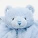 Gund Baby My First Teddy Comfy Cozy Baby Blanket, Blue