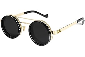 Adjustable Tint Rounded Polarized Lenses Retro Sunglasses, 1-9 Gear Manual Tint Control with ND Filter for Men Women