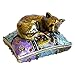 Apropos Vintage Style Hand-Painted Cat Sleeping On Pillow Trinket Box
