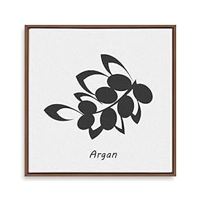 Framed Canvas Wall Art for Living Room, Bedroom Nordic Style Plants Theme Canvas Prints for Home Decoration Ready to Hang - 16x16 inches