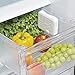 OXO Greensaver Crisper Insert 1-Pack