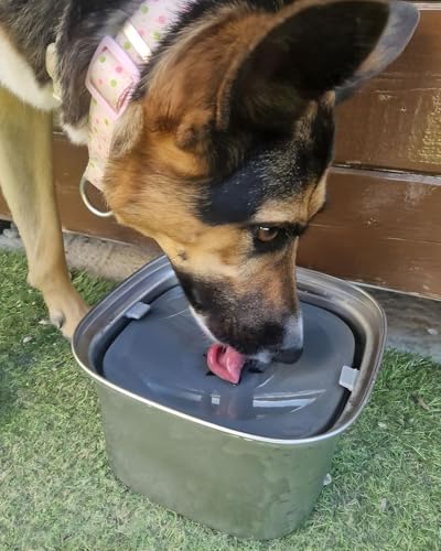 NOOGUI - Bowl for Dogs - Capacity 3L - Anti-drip Bowl Anti-Spill Anti-tip - Animal Accessory Non-Slip Base - Dog Water Bowl - Dispenser with 4 Bags Included
