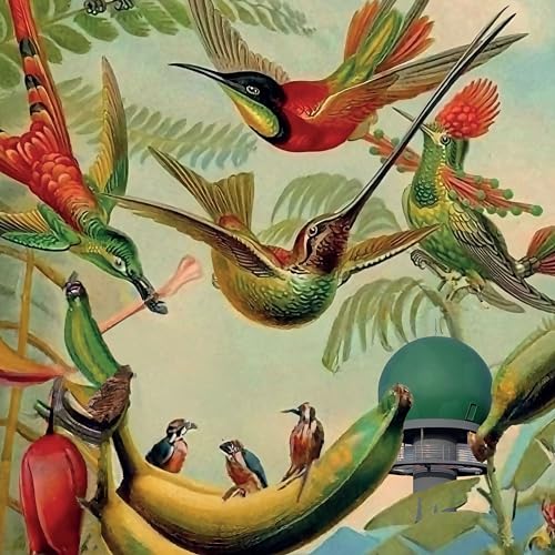 Radar Keroxen Vol.4 [Vinilo]