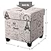 SONGMICS Storage Ottoman, Padded Folding Bench, Chest with Lid, Solid Wood Feet, Space-Saving, Holds up to 660 lb, Eiffel Tower Pattern ULSF14X