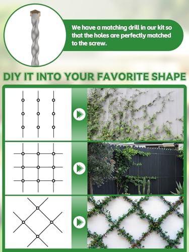 185-Piece Stainless Steel Trellis for Climbing Plants, Kalolary 30 M Stainless Steel High Performance Trellis Set Wall Climbing T316 Steel Wire Rope Cross Clamps Trellis System Set for Flowers Vines