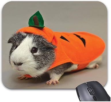 guinea pig outfits amazon