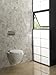 Toto CWT418MFG-2No.01 Aquia Wall-Hung Toilet and In-Wall Tank System-1.6-GPF / 0.9-GPF, Cotton