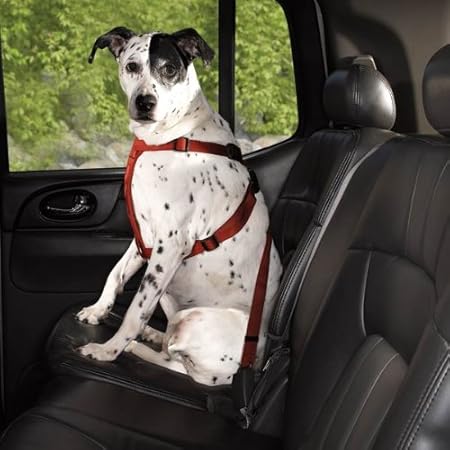 dog car seat belt amazon